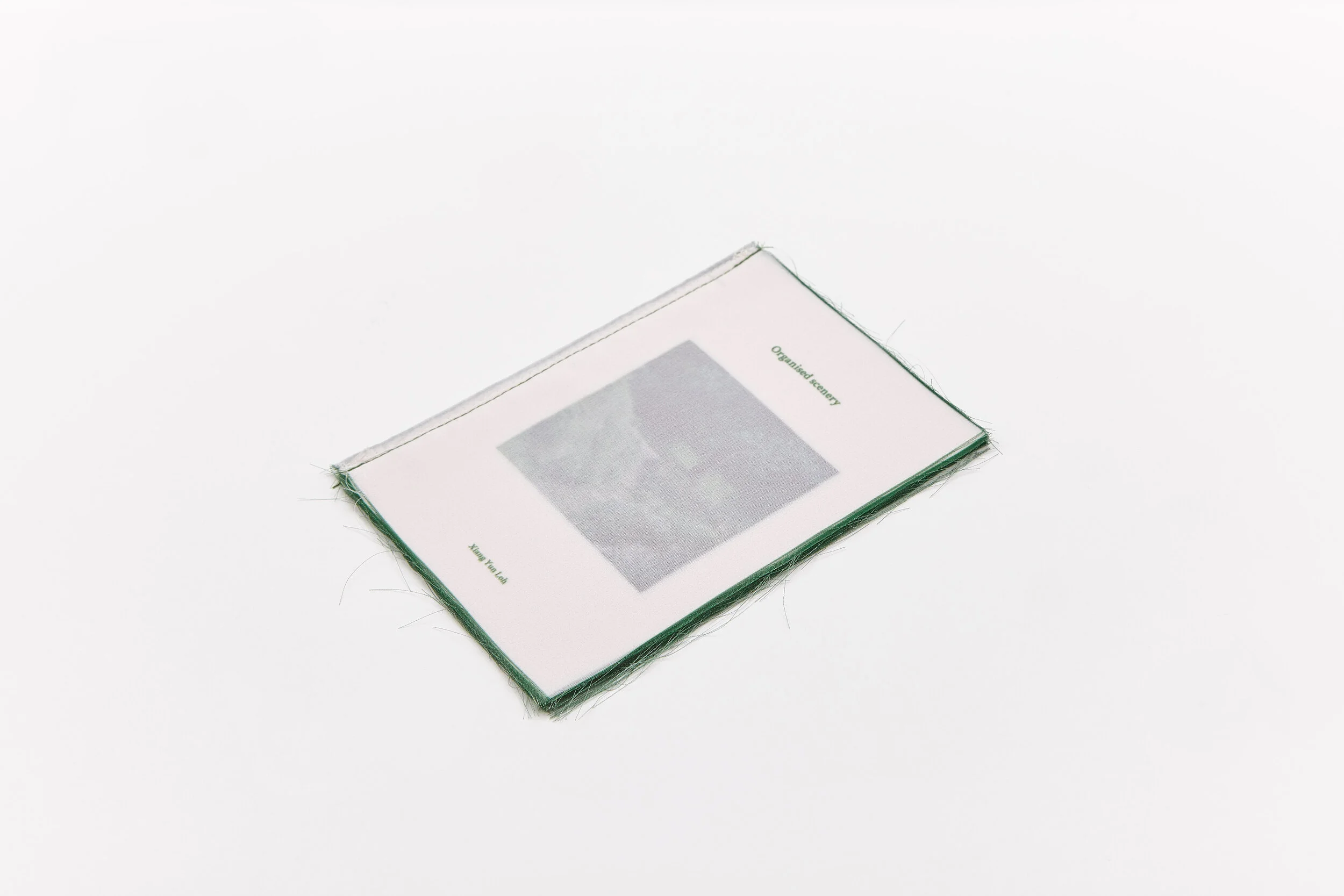 Organised scenery — Loh Xiang Yun